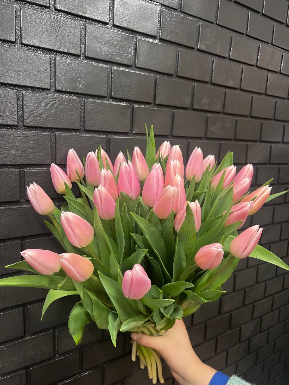 Акция 31 нежно-розовый тюльпан