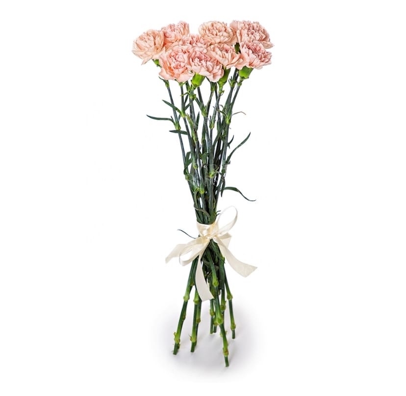 Букет из 9 гвоздик