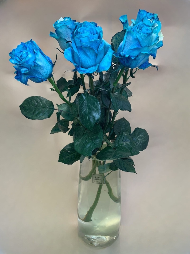 5 синих роз