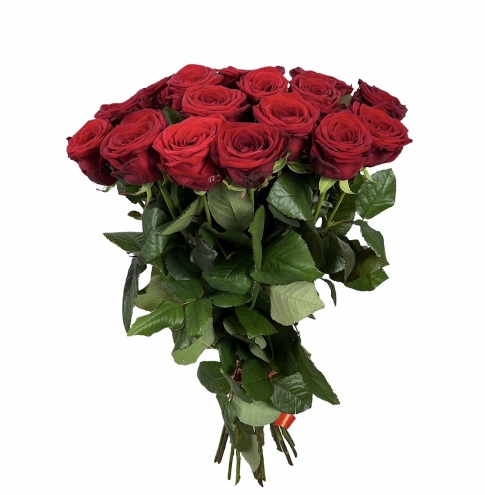 21 роза Red naomi