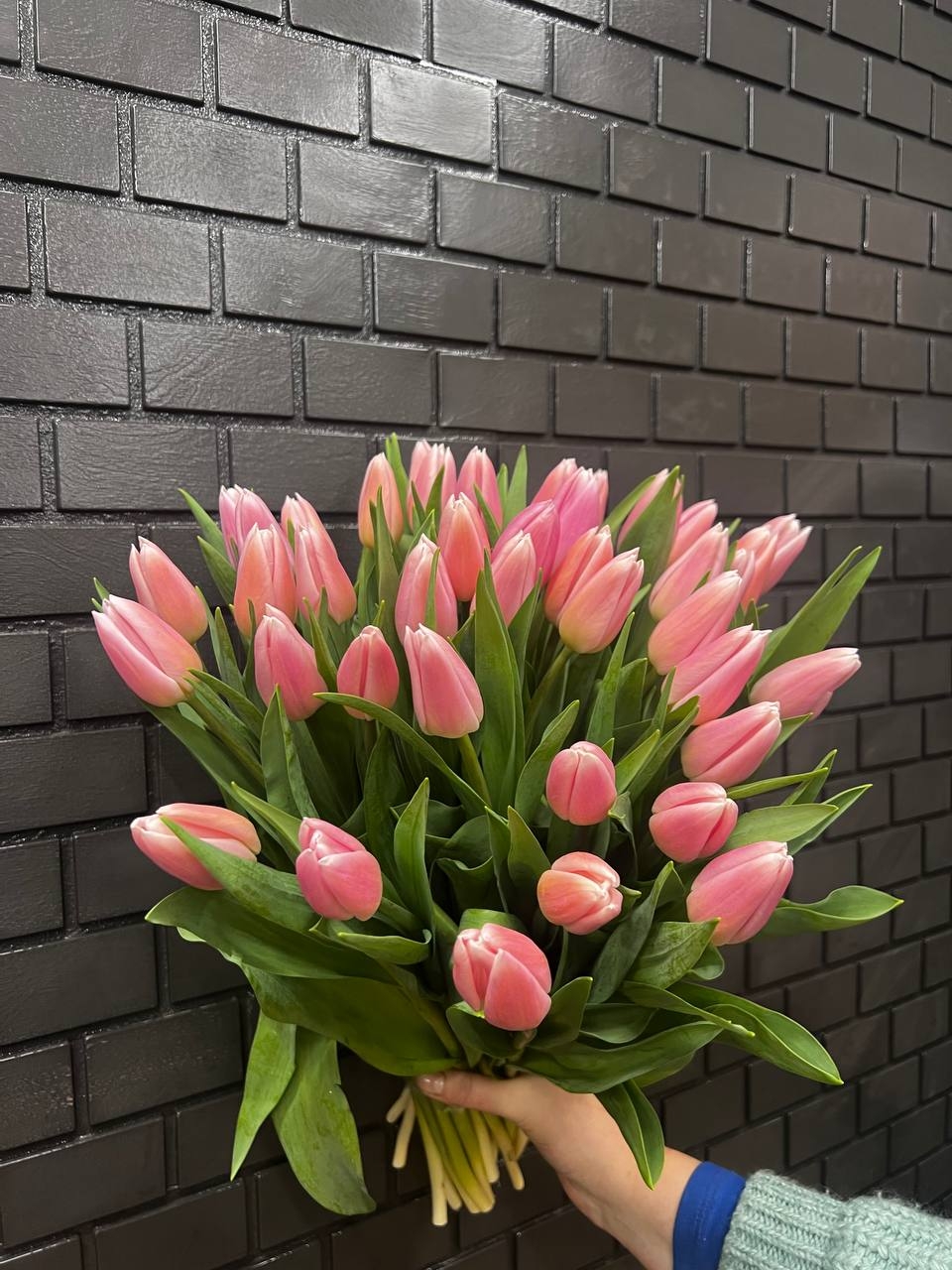 Акция 41 нежно-розовый тюльпан